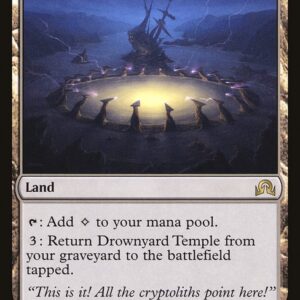 Shadows over Innistrad - 271 - Drownyard Temple - Rare - C - Non-foil