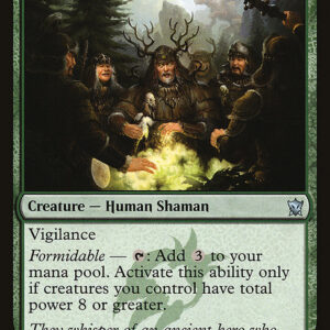 Dragons of Tarkir - 176 - Circle of Elders - Uncommon - G - Non-foil