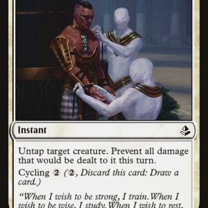 Amonkhet - 11 - Djeru's Resolve - Common - W - Non-foil