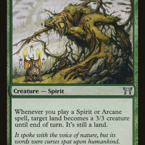 Champions of Kamigawa - 243 - Soilshaper - Uncommon - G - Non-foil (Front)