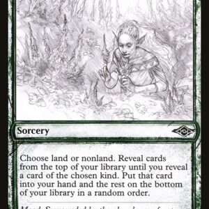 Modern Horizons 2 - 354 - Abundant Harvest - Common - G - Non-foil