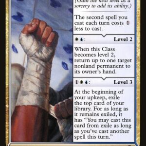 Adventures in the Forgotten Realms - 228 - Monk Class - Rare - WU - Non-foil