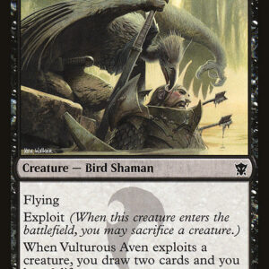 Dragons of Tarkir - 126 - Vulturous Aven - Common - B - Non-foil