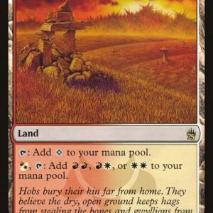 Masters 25 - 247 - Rugged Prairie - Rare - C - Non-foil
