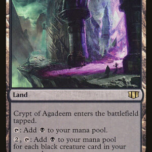 Commander 2014 - 288 - Crypt of Agadeem - Rare - C - Non-foil (Front)