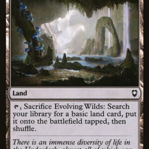 Commander Legends: Battle for Baldur's Gate - 352 - Evolving Wilds - Common - C - Non-foil