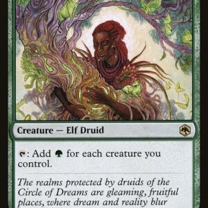 Adventures in the Forgotten Realms - 176 - Circle of Dreams Druid - Rare - G - Foil