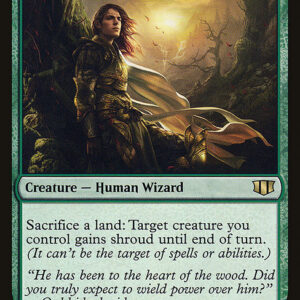 Commander 2014 - 217 - Sylvan Safekeeper - Rare - G - Non-foil (Front)