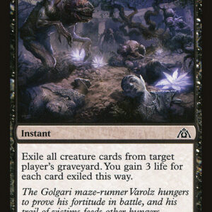 Dragon's Maze - 23 - Crypt Incursion - Common - B - Non-foil (Front)