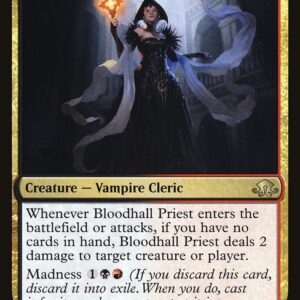 Eldritch Moon - 181 - Bloodhall Priest - Rare - BR - Non-foil (Front)