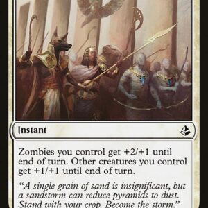 Amonkhet - 19 - In Oketra's Name - Common - W - Non-foil