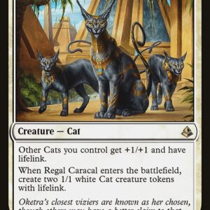 Amonkhet - 24 - Regal Caracal - Rare - W - Non-foil
