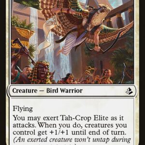 Amonkhet - 31 - Tah-Crop Elite - Common - W - Non-foil