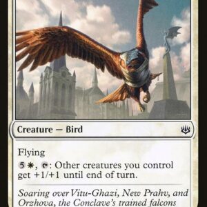 War of the Spark - 39 - War Screecher - Common - W - Non-foil (Front)