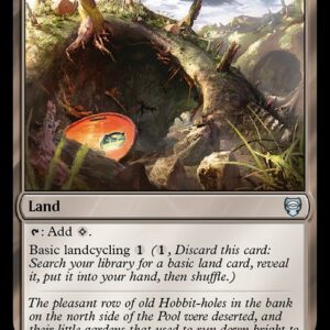Tales of Middle-earth Commander - 295 - Ash Barrens - Uncommon - C - Non-foil