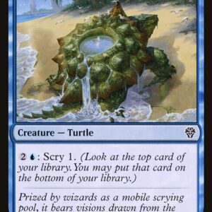 Dominaria United - 69 - Tidepool Turtle - Common - U - Non-foil