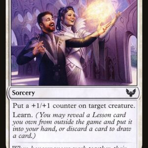 Strixhaven: School of Mages - 19 - Guiding Voice - Common - W - Non-foil
