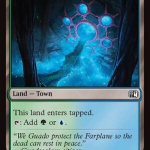 Final Fantasy - 281 - Guadosalam, Farplane Gateway - Common - C - Foil