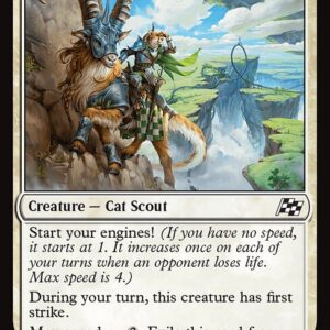 Aetherdrift - 18 - Leonin Surveyor - Common - W - Foil