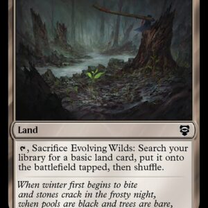Tales of Middle-earth Commander - 306 - Evolving Wilds - Common - C - Non-foil