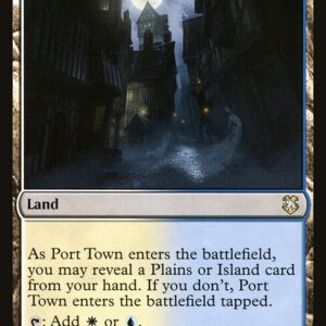 Forgotten Realms Commander - 255 - Port Town - Rare - C - Non-foil (Front)