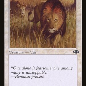 Dominaria Remastered - 270 - Savannah Lions - Common - W - Non-foil
