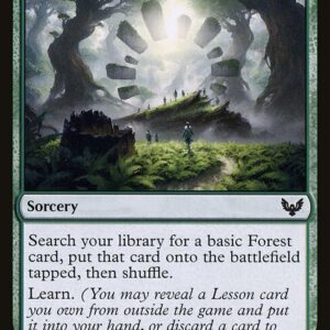Strixhaven: School of Mages - 131 - Field Trip - Common - G - Non-foil