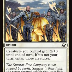 Edge of Eternities - 45 - Zealous Display - Common - W - Foil