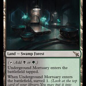 Murders at Karlov Manor - 271 - Underground Mortuary - Rare - C - Non-foil