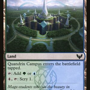 Strixhaven: School of Mages - 271 - Quandrix Campus - Common - C - Non-foil