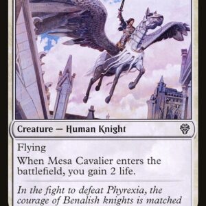 Dominaria United - 26 - Mesa Cavalier - Common - W - Non-foil