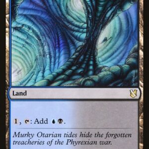 Commander 2019 - 238 - Darkwater Catacombs - Rare - C - Non-foil (Front)