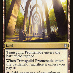 Commander 2016 - 334 - Transguild Promenade - Common - C - Non-foil (Front)