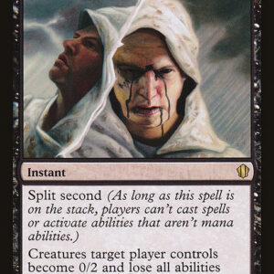 Commander 2013 - 94 - Sudden Spoiling - Rare - B - Non-foil (Front)