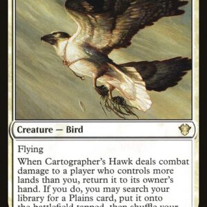Commander 2020 - 24 - Cartographer's Hawk - Rare - W - Non-foil (Front)