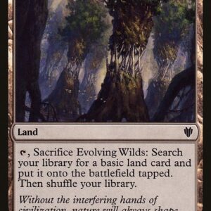 Commander 2017 - 248 - Evolving Wilds - Common - C - Non-foil (Front)