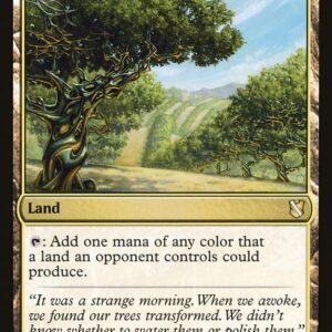 Commander 2019 - 242 - Exotic Orchard - Rare - C - Non-foil (Front)