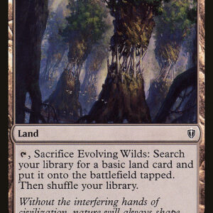 Commander 2016 - 294 - Evolving Wilds - Common - C - Non-foil (Front)