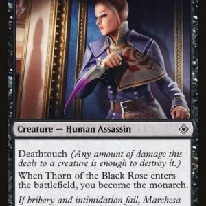 Conspiracy: Take the Crown - 48 - Thorn of the Black Rose - Common - B - Non-foil (Front)