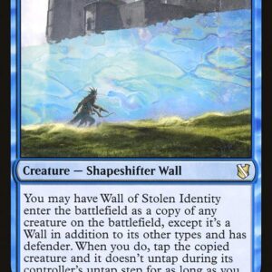 Commander 2019 - 13 - Wall of Stolen Identity - Rare - U - Non-foil (Front)