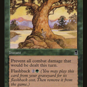 Odyssey - 251 - Moment's Peace - Common - G - Non-foil (Front)