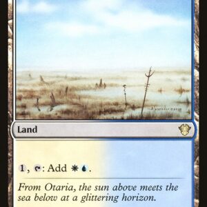 Commander 2020 - 312 - Skycloud Expanse - Rare - C - Non-foil (Front)