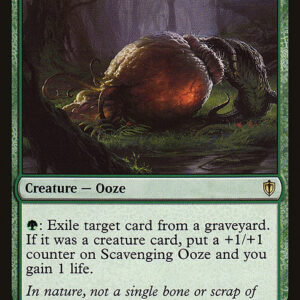 Commander 2016 - 166 - Scavenging Ooze - Rare - G - Non-foil (Front)