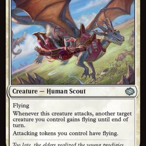 Tarkir: Dragonstorm - 25 - Starry-Eyed Skyrider - Uncommon - W - Non-foil (Front)