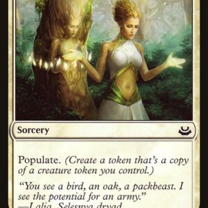 The List - MM3-28 - Wake the Reflections - Common - W - Non-foil (Front)