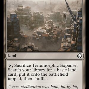 Fallout - 313 - Terramorphic Expanse - Common - C - Non-foil (Front)