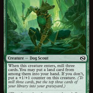 Tarkir: Dragonstorm - 134 - Ainok Wayfarer - Common - G - Non-foil (Front)