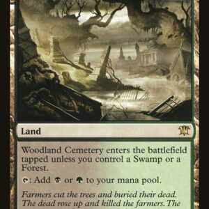 Innistrad - 249 - Woodland Cemetery - Rare - C - Non-foil (Front)
