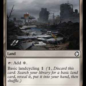 Fallout - 253 - Ash Barrens - Common - C - Non-foil (Front)