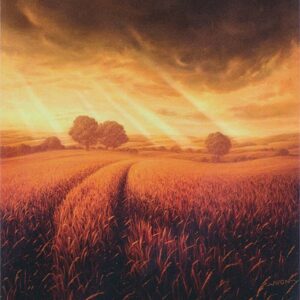 Unstable - 212 - Plains - Common - C - Non-foil (Front)